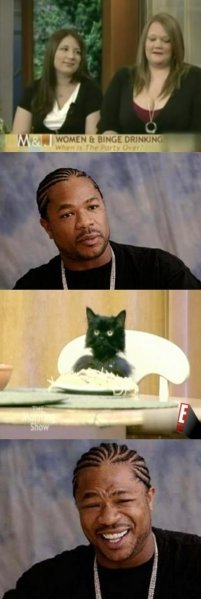 Спагетти кот (Spaghetti Cat) 5