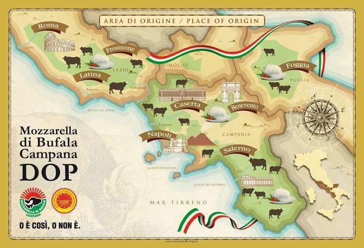 Где производят настоящую итальянскую моцареллу. Area DOP Mozzarella Campana